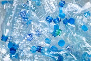 plastic bottles