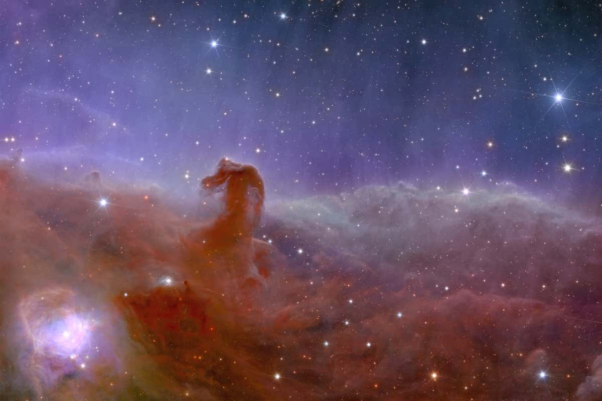 The Horsehead Nebula