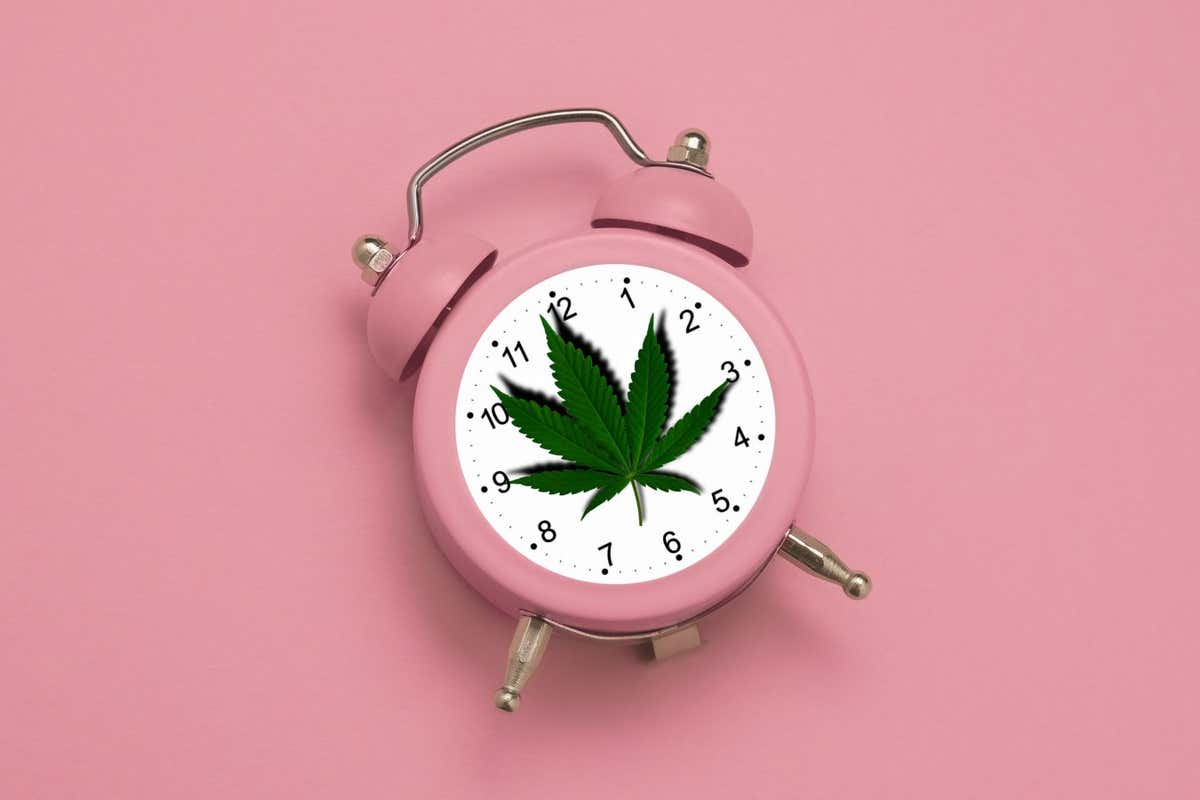 Artists representation of cannabis and time